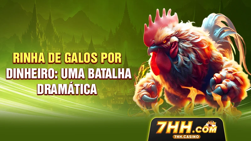 Rinha de galos por dinheiro: uma batalha dramática 8 Rinha de galos por dinheiro: uma batalha dramática